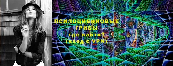 ECSTASY Алзамай