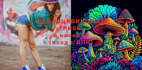 дмт Чердынь