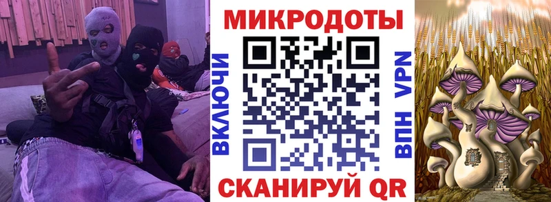 Псилоцибиновые грибы ЛСД Копейск